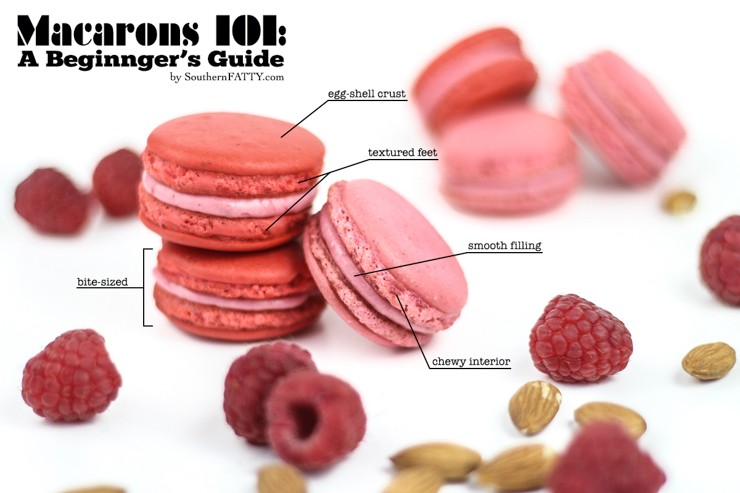 Macarons 101 A Beginner S Guide And Printable Piping Template Southern Fatty